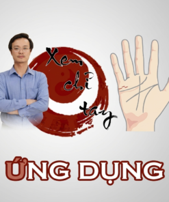 Khóa Học Xem Chỉ Tay Ứng Dụng – Tam Nguyên, Tìm Hiểu Kiến Thức Chỉ Tay Theo Hướng Thực Tế, Dễ Học