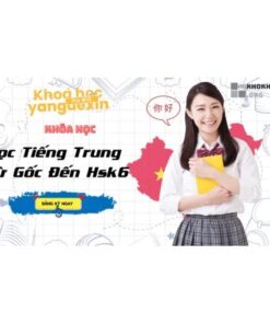Khóa Học Tiếng Trung Yangdexin Từ Gốc Đến HSK6 – Lộ Trình Toàn Diện Chinh Phục Tiếng Trung