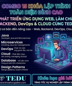 Combo 15 Khóa Lập Trình Toàn Diện Đỉnh Cao – Phát Triển Ứng Dụng Web, Làm Chủ Backend, Devops & Cloud Cùng Tedu