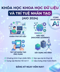 Khóa Học Khoa Học Dữ Liệu Và Trí Tuệ Nhân Tạo (AIO 2024) Cùng AIVIETNAM